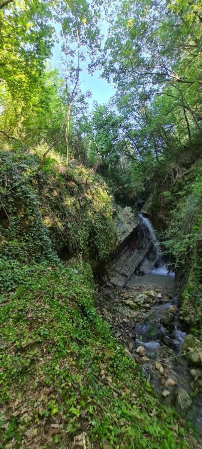 Ca' Del Tartufaio Villa Castelmauro Ngoại thất bức ảnh